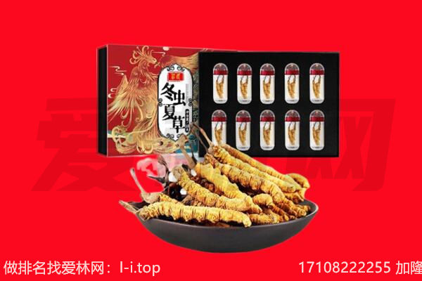 武汉市硚口回收虫草.jpg